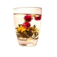 China Teerose »Flowery Garden«