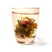 China Teerose »Rising Sun«